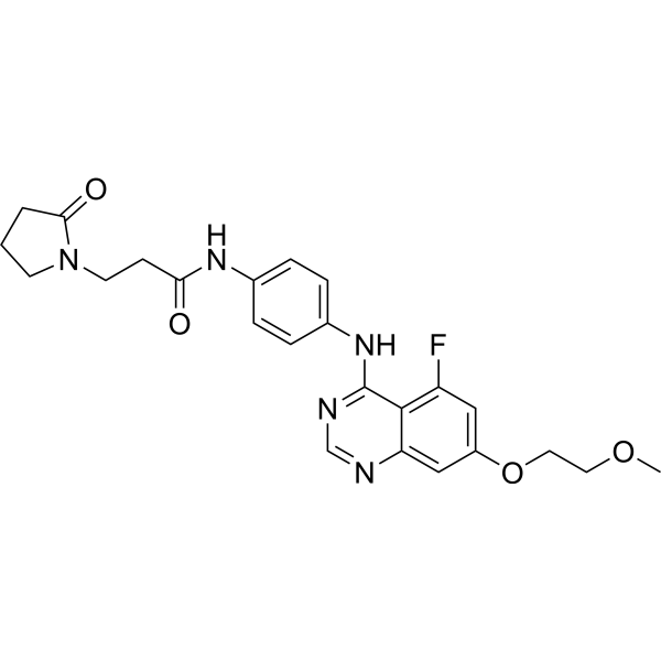c-Kit-IN-8 2941024-89-9
